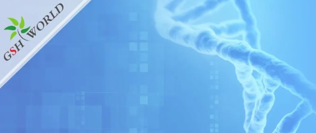 煙酰胺和nmn區(qū)別？煙酰胺單核苷酸(NMN) 的化合物