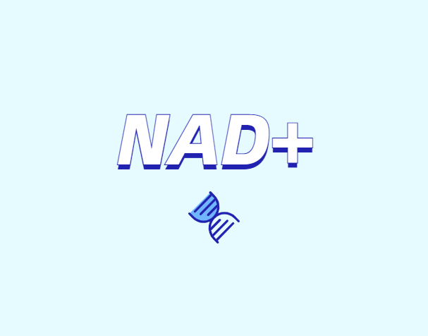 NAD與NMN的全新概念？