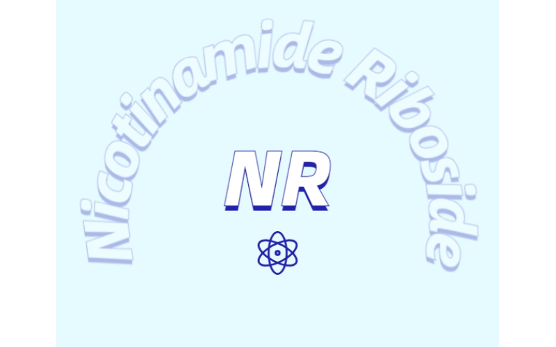 煙酰胺核糖氯化物是如何增加NDA+水平的？