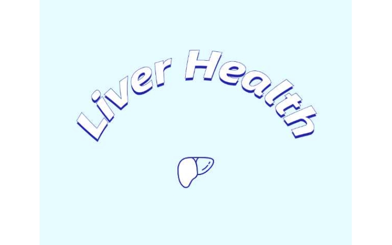 哪些原料可助力肝臟健康？